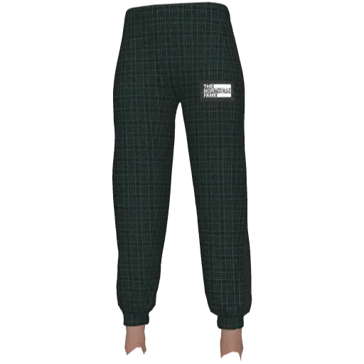 Зеленые штаны TNF