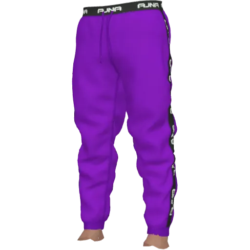 Фиолетовые джоггеры Ajna Streetwear Collection