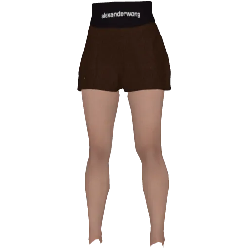 Коричневая юбка AlexanderWang