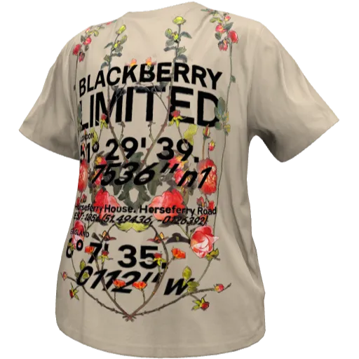 Серая футболка BLACKBERRY