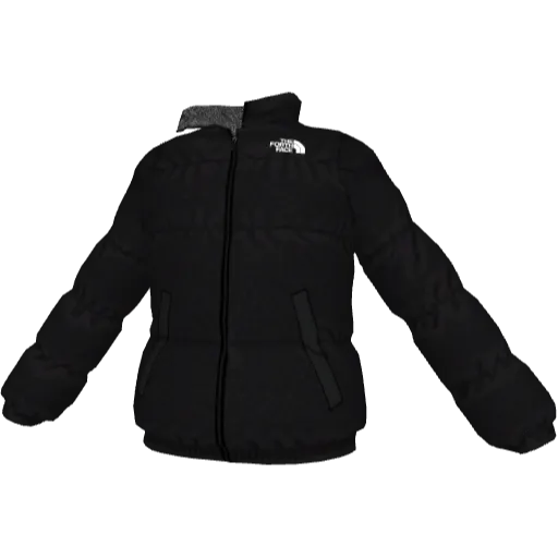 Черная куртка TNF (мех внутри)