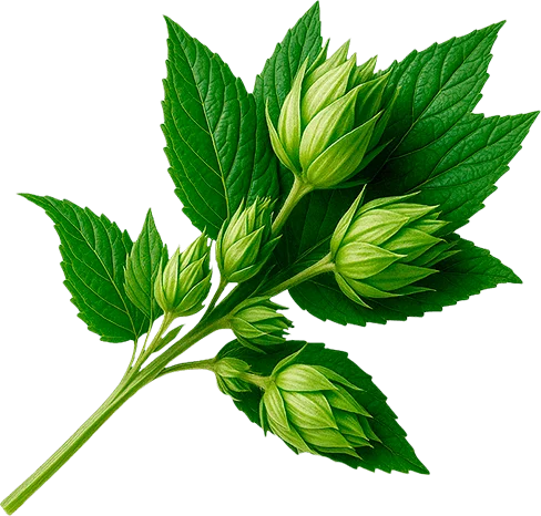 Куст Green